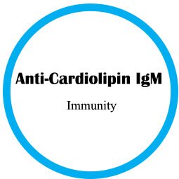 Anti- Cardiolipin IgM