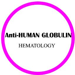 Anti-Human Globulin