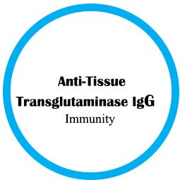 Anti-Tissue Transglutaminase IgG