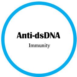 Anti-dsDNA