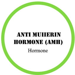 Anti-Muiierin Hormone (AMH)