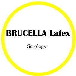 Brucellosis Latex