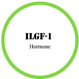 ILGF-1