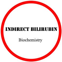Indirect Bilirubin