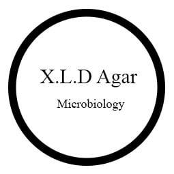 X.L.D Agar